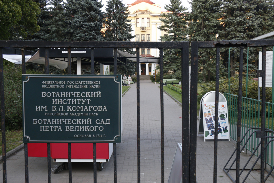 Осенний праздник кленов состоится в Ботаническом саду Петербурга