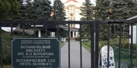 Осенний праздник кленов состоится в Ботаническом саду Петербурга