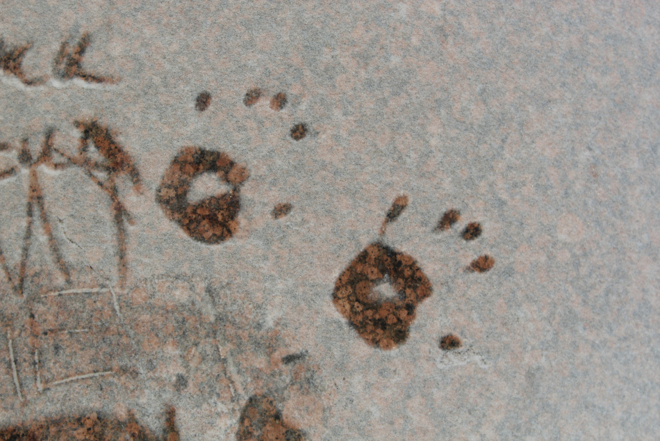 Петербург готовится к снежным испытаниям зимы