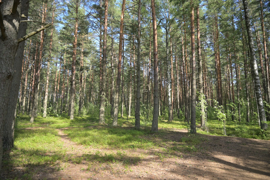 В Новоорловском заказнике появился новый маршрут для любителей природы
