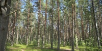 В Новоорловском заказнике появился новый маршрут для любителей природы