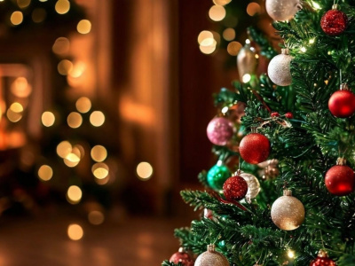 Фото Концерт От Вивальди до новогодних песен Фото Концерт От Вивальди до новогодних песен