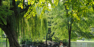 Топ-10 парков Петербурга, где оживает история