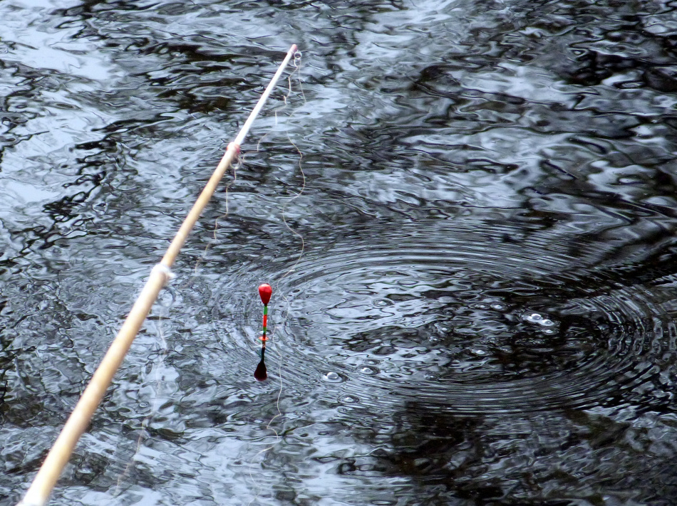 Рыбаки Северо-Запада остались без разрешений на промысел