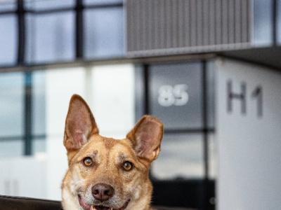 Фото Фестиваль Путь домой Фото Фестиваль Путь домой