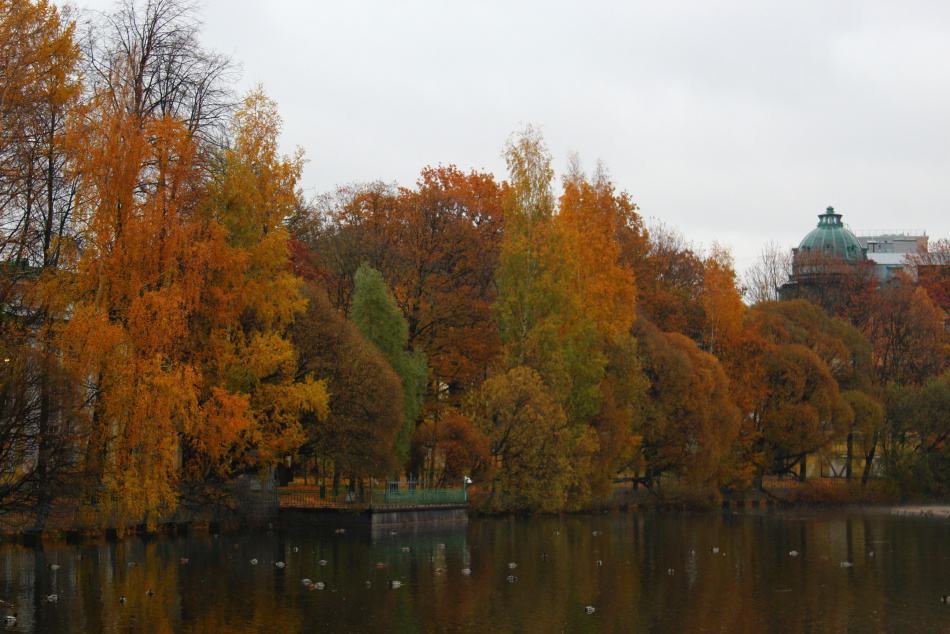 В Петербурге зафиксировали аномально теплый октябрьский день благодаря циклону