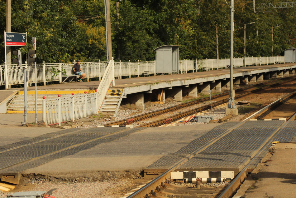 Женщина погибла на железной дороге в Ленобласти при переходе путей