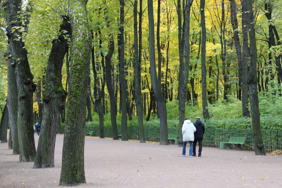 Антициклон принесет Петербургу солнечные и прохладные выходные без осадков