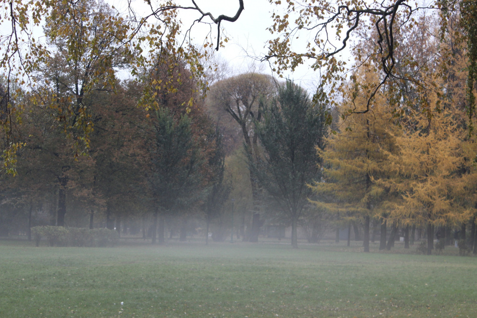 В Петербурге ожидается первая ночь с минусовой температурой в центре города