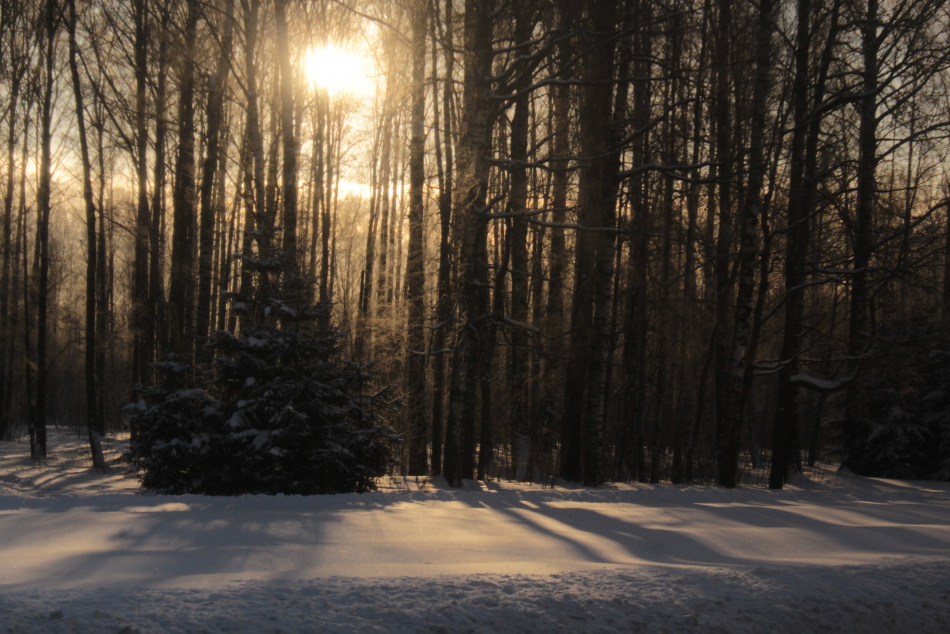 В Якутии зафиксирован первый экстремальный холод этой осени ниже -30 градусов