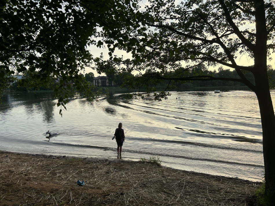 Петербуржец из ревности убил бывшего мужа возлюбленной и утопил тело в озере