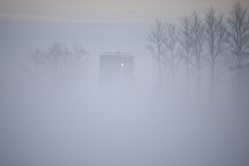 Эксперт исключила побег и убийство в деле исчезновения семьи Усольцевых