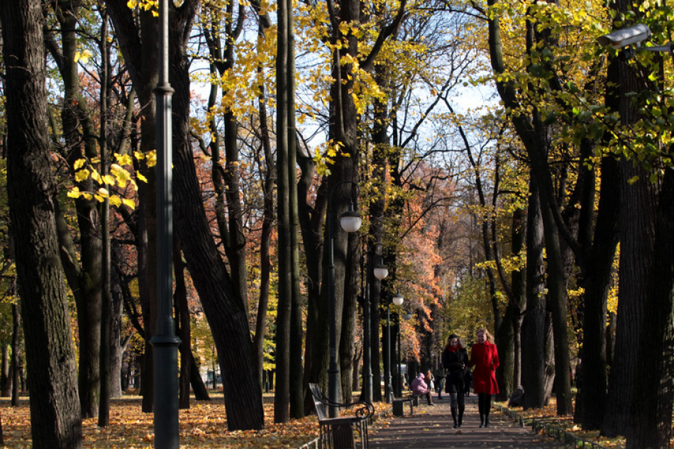 В Петербурге ожидается ясная и теплая суббота