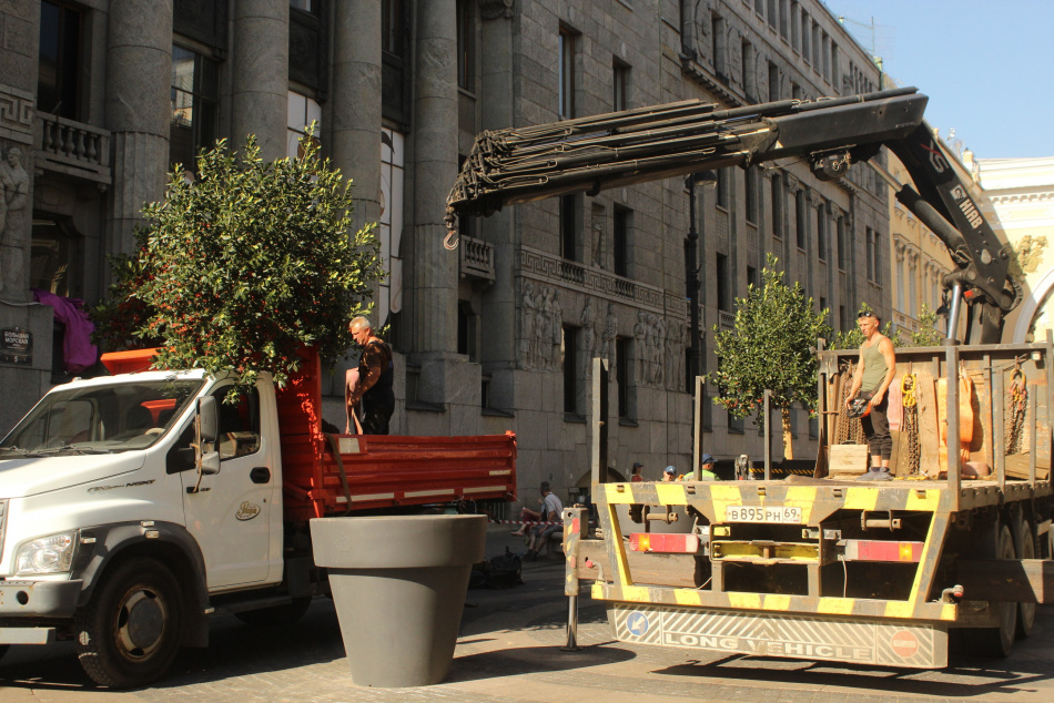 Временные сады Петербурга подверглись критике со стороны специалистов