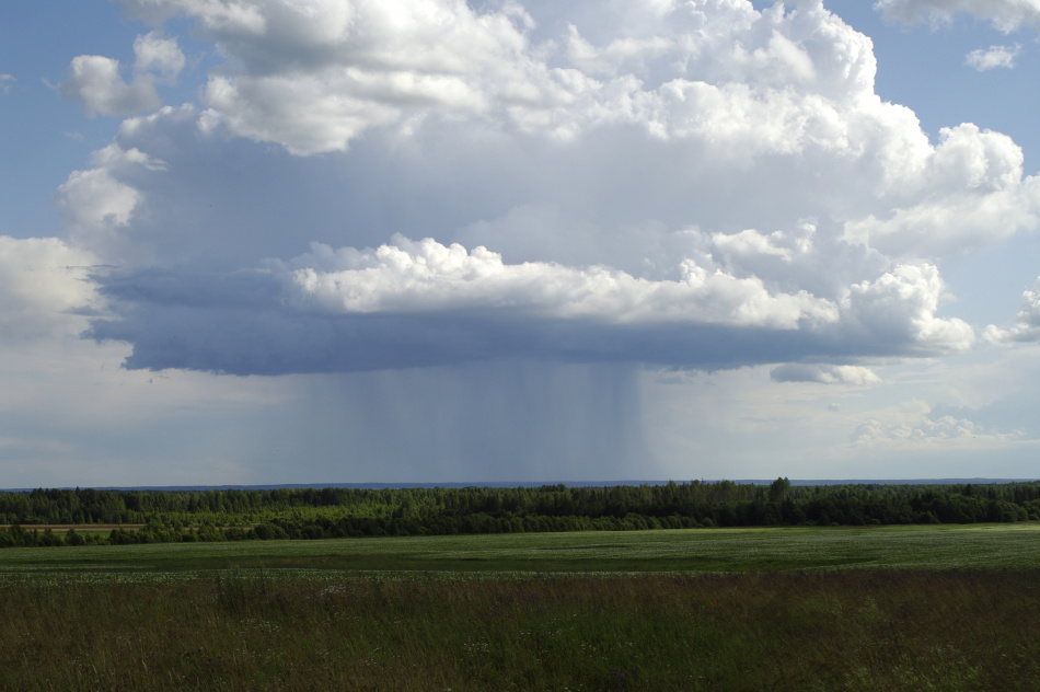 В Ленобласти изымают земли для скоростной магистрали Петербург-Москва