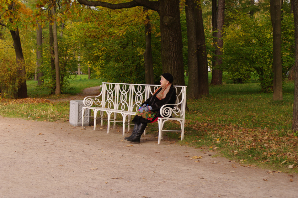 В Петербурге воскресенье порадует ясной погодой и мягким теплом