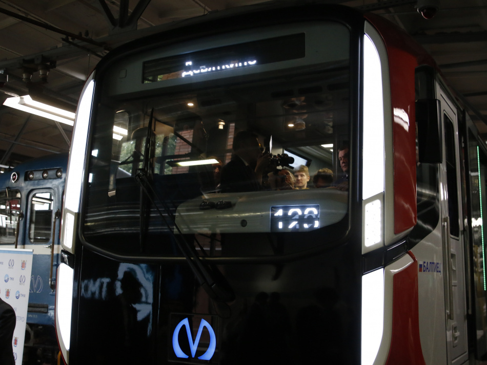 Причины остановки поездов на красной ветке метро Петербурга изучат через неделю 