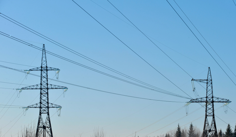В Подмосковье очистили более 6 тысяч гектаров вдоль ЛЭП для безопасности