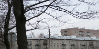 Птица оказалась в ловушке на кабеле у метро Черная речка