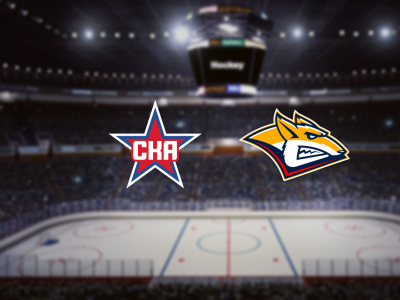 Фото Хоккейный матч СКА - Металлург Мг Фото Хоккейный матч СКА - Металлург Мг