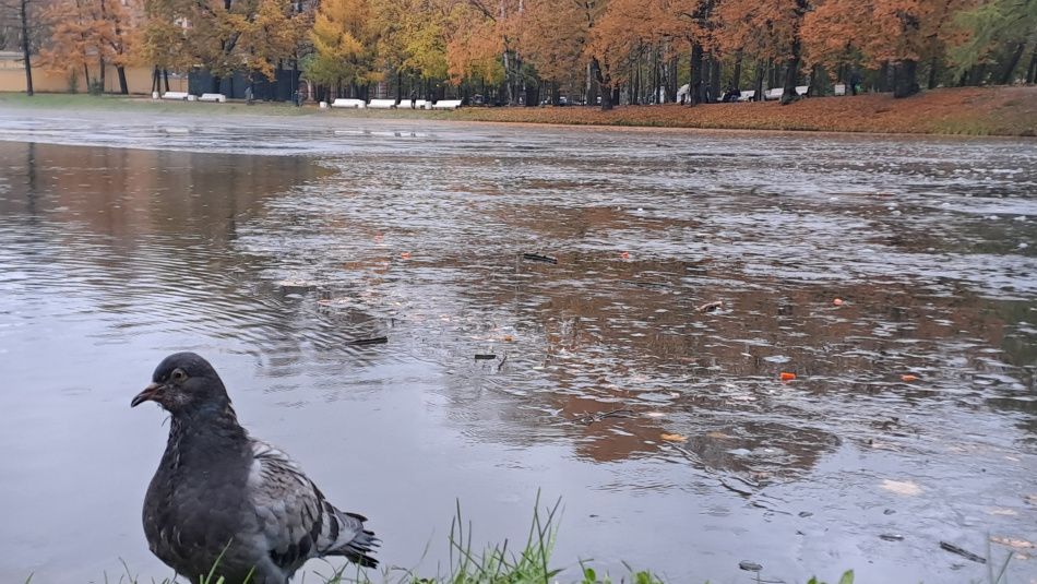 Северный циклон принесет осадки и спад давления в Петербурге