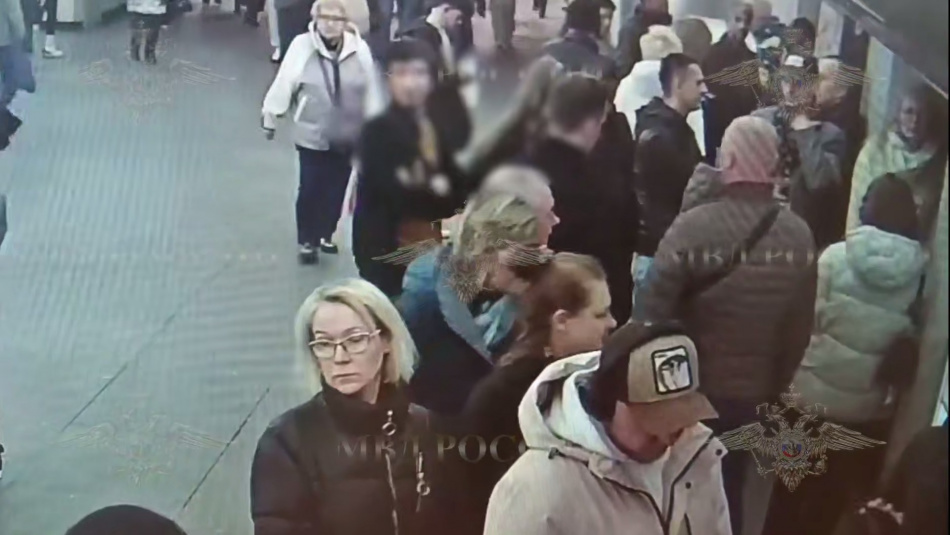 В петербургском метро задержали мигранта по подозрению в домогательствах к девочке