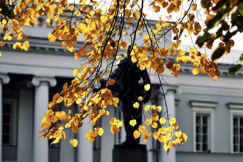 куда пойти в спб