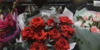 Поставки голландских роз и азалий в Россию продолжаются без ограничений