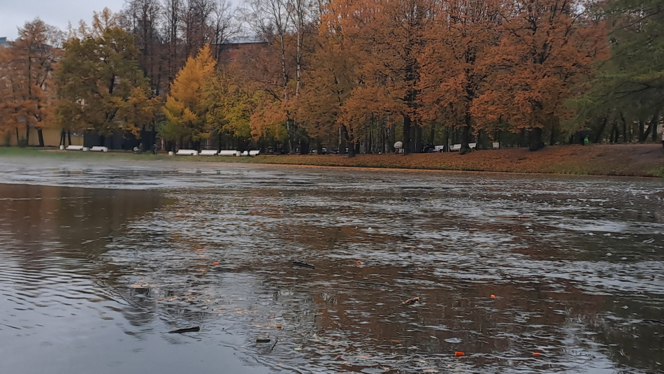 В Петербурге и Москве ожидается пасмурная и влажная пятница
