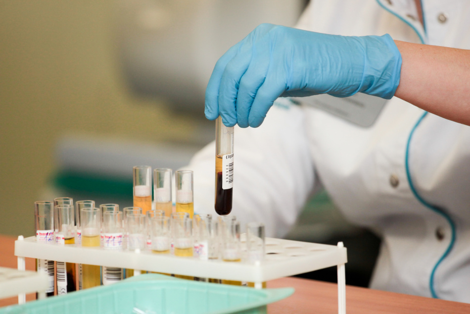 Российские и зарубежные ученые открывают новые горизонты в медицине и экологии