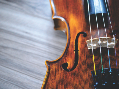 Фото Концерт Русалочка