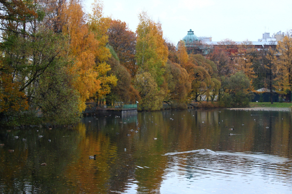 Циклон над Скандинавией принес в Петербург теплую и дождливую осень