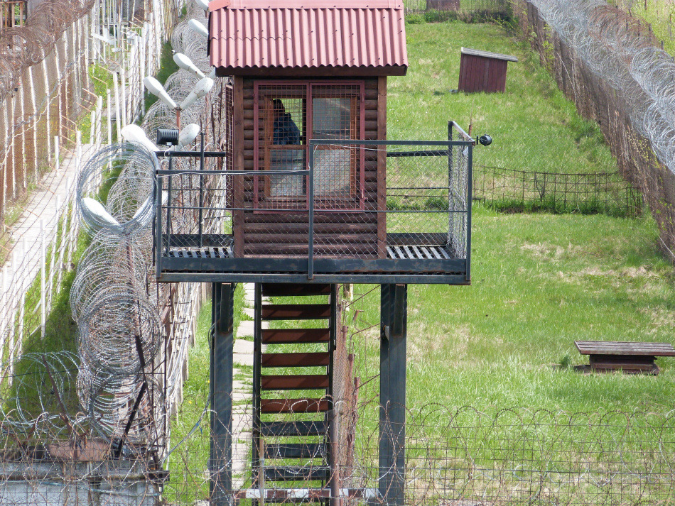 Петербуржец получил 9 лет колонии за вымогательство и поджог машины