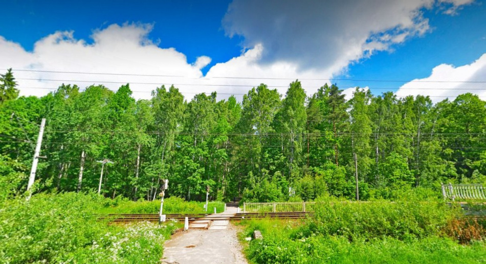 В парке Сергиевка обнаружили тело студента, исчезнувшего в Петергофе две недели назад