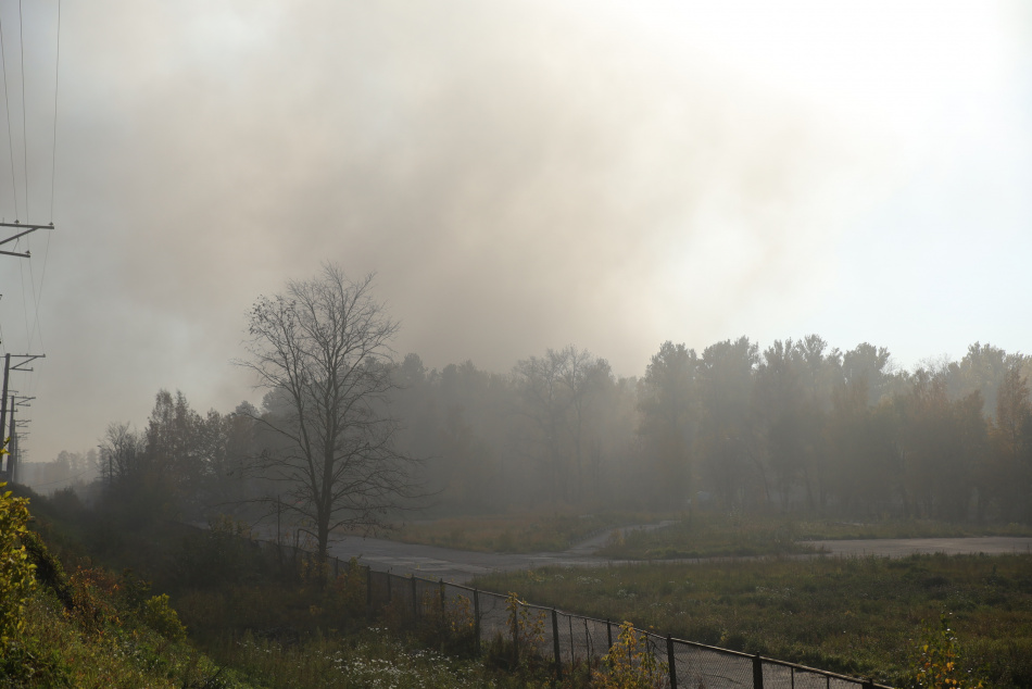 В Сеуле россиянка получила условный срок за возгорание в городском парке