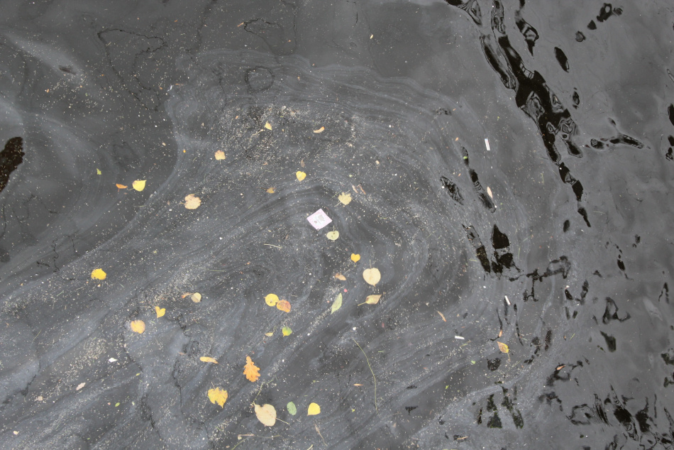  Джип вылетел с трассы и оказался в воде в Лужском районе