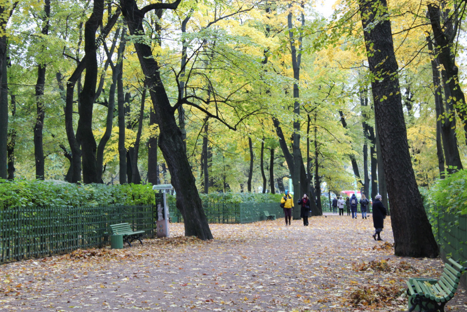 В Москве на выходных ожидается рекордное ноябрьское потепление до плюс 10 градусов