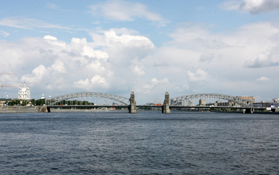 В Охте продолжается массовая гибель рыбы после аварии на коллекторе