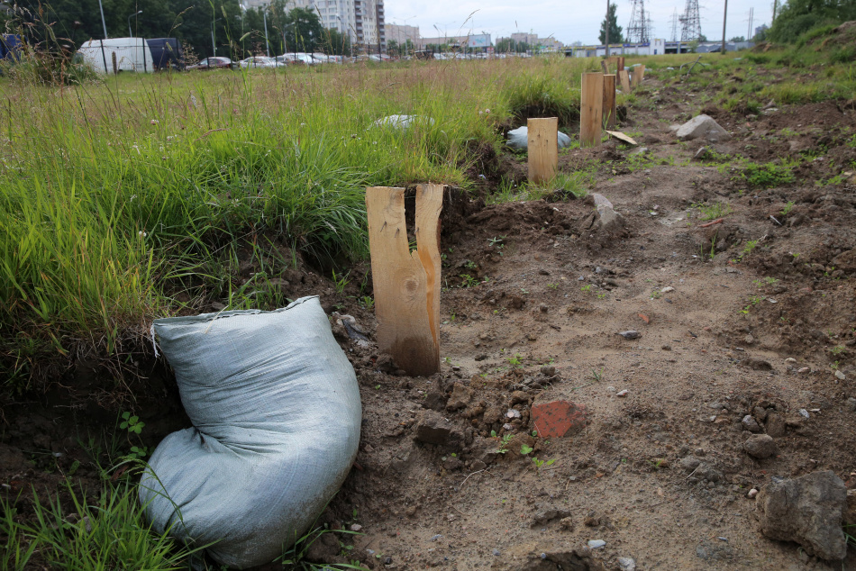 Сброс сточных вод в Муринский ручей вновь ухудшил экологическую ситуацию