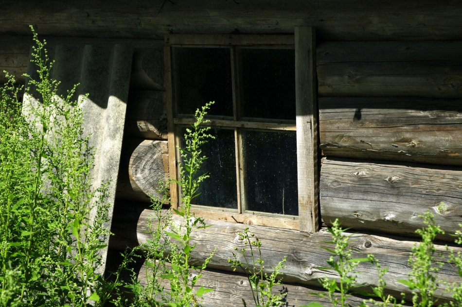 В Ленобласти мужчина с бензином угрожал сжечь дом соседки