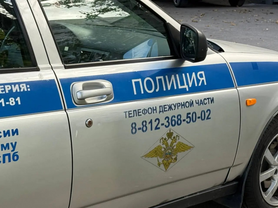 В Петербурге задержали группу молодых людей за оскорбление чувств верующих