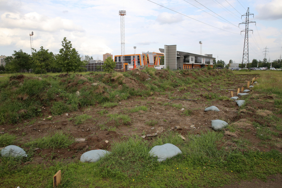 Сбросы сточных вод в Муринский ручей продолжаются после аварии на коллекторе