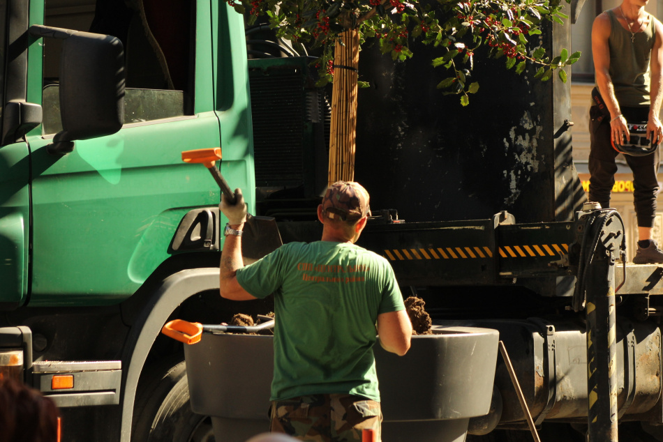 В Петербурге разрабатывают стандарт безопасного озеленения для аллергиков