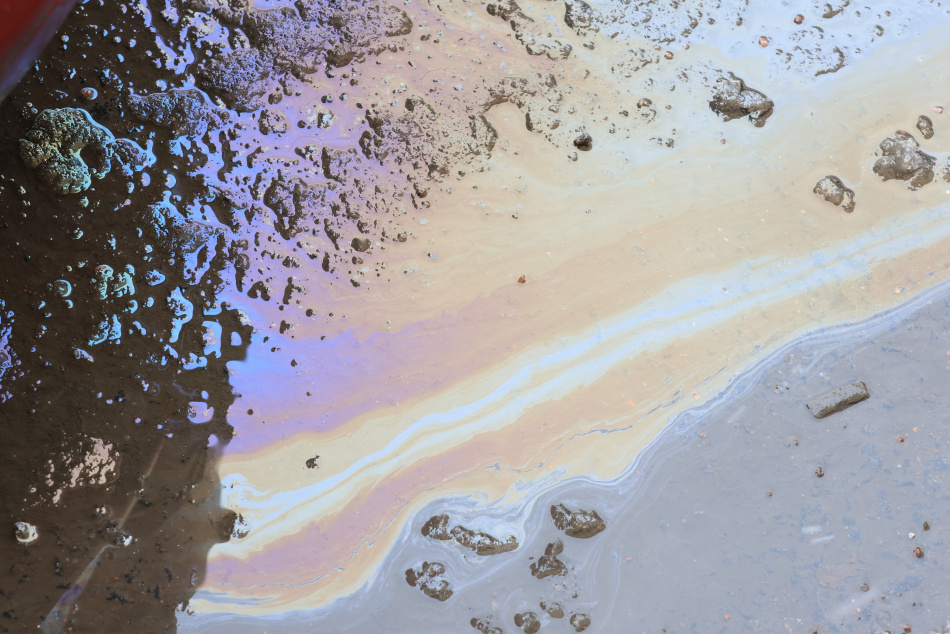 Аварийные службы устраняют загрязнение на воде в центре Петербурга