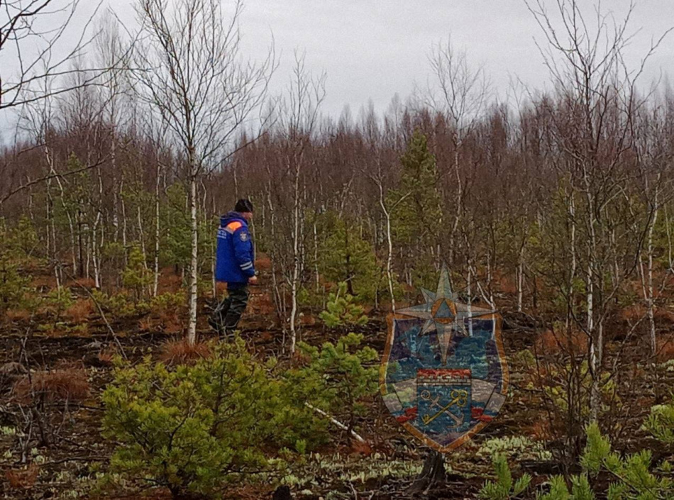 Двое мужчин провели ночь в лесу под Киришами и были спасены