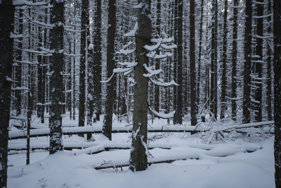В Сибири температура опустилась ниже минус 45 градусов