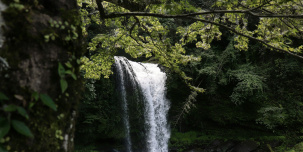 Путешествие без границ: места Ленобласти, которые выглядят как зарубежные курорты