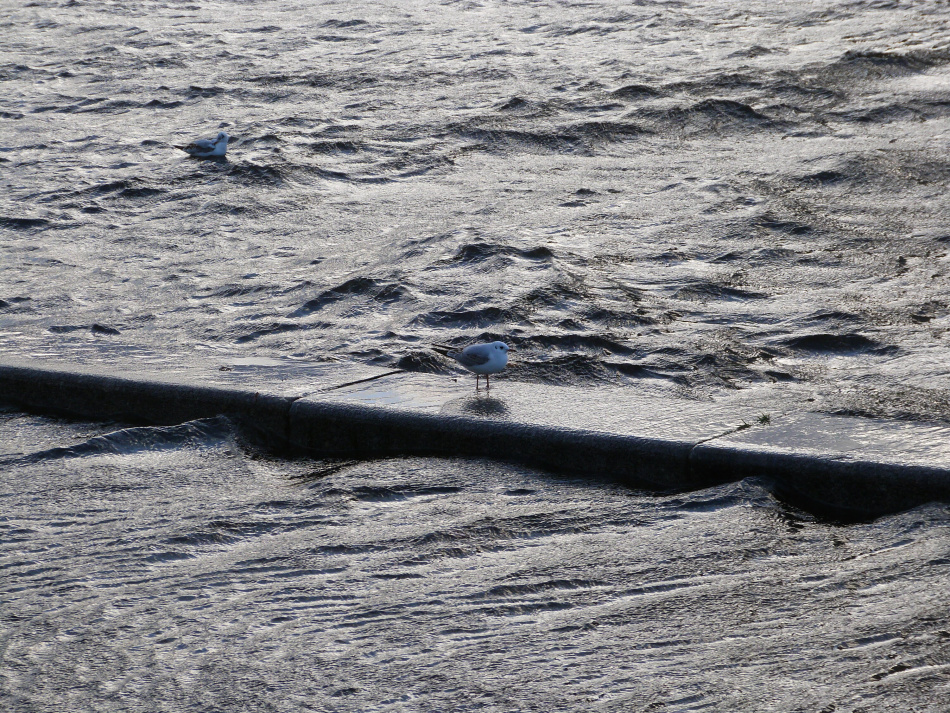 Балаклавская буря изменила подход к штормовым предупреждениям в мире
