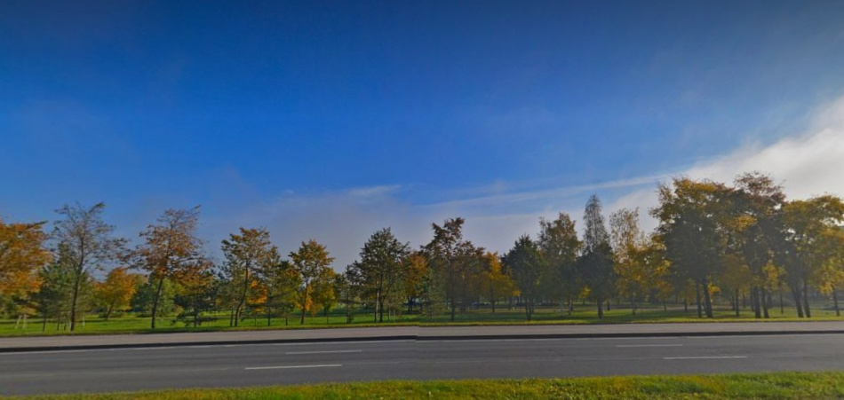 В Пушкине стартует масштабное обновление Буферного парка к 2027 году