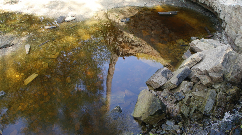 В столичном водоеме обнаружили рюкзак с останками несовершеннолетнего